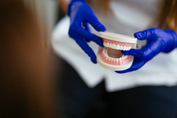 Dental X-Rays and Imaging in Karns, TN